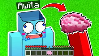 Robé los CEREBROS para TROLLEAR a Youtubers de Minecraft!