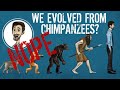 Human Evolution and Genetic Similarities