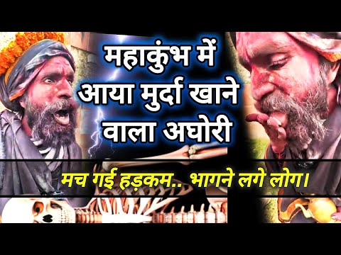 महाकुंभ में आया मुर्दा खाने वाला अघोरी बाबा mahakumbh 2025 Aghori Baba video #aghori #aghorisadhu