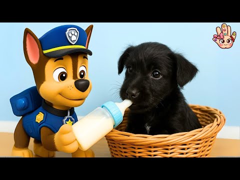 🐶 ¡LANA BEBÉ llega a la Patrulla Canina! Aventuras Divertidas en Español