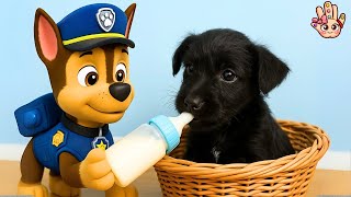 🐶 ¡LANA BEBÉ llega a la Patrulla Canina! Aventuras Divertidas en Español