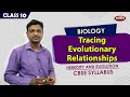 Evolutionary Relationships and Organ Analogies