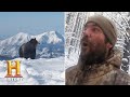 Grizzly Bear Encounter Reflections