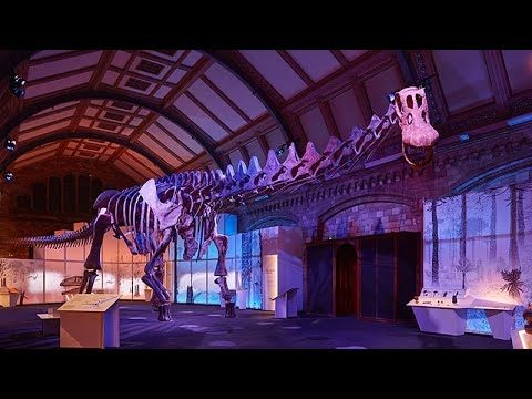 YouTube video thumbnail: World’s Largest Dinosaur Goes on Display in Peterborough Cathedral