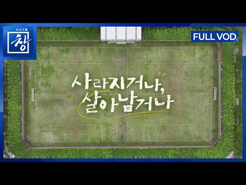 사라지거나, 살아남거나 [풀영상] | 창 522회 (KBS 25.10.28.)