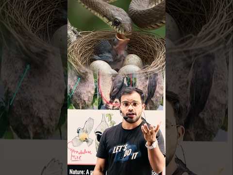 Snakes eat bird's egg Why ?| #science #education #physics #learning #experiment