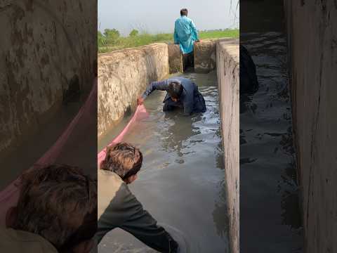 #fish #viralvideo #kowait #dubai 😱😱😱😱🇰🇼🇰🇼😯😯😯🐬🐬🐬🦈🦈🦈🦈🐟🐟🐟🐠🐠🐠🐠