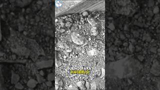 ¡Revelado! ¿Por qué Jesús fue sepultado en una tumba ajena?