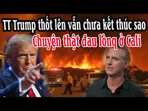 TT Trump thốt lên vẫn chưa kết thúc sao: Chuyện thật đau lònq ở California