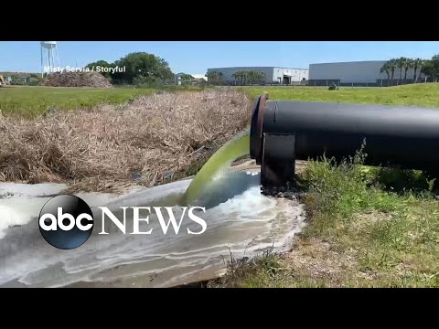 Urgent Evacuations Over Toxic Wastewater In Tampa L Gma