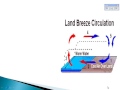Ocean Currents and Local Winds