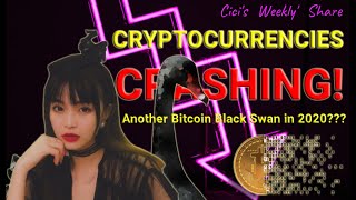 Cryptocurrencies Crashing! Another Bitcoin Black Swan in 2020?-Cici's Weekly Share