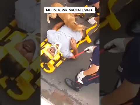 VIDEO PRECIOSO #animales #mascotas #videoshortsviral