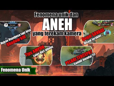 FENOMENA LANGKA DI LAND OF DAWN !! HERO SELAIN HAYABUSA BISA SAVAGE SHADOW KILL ??