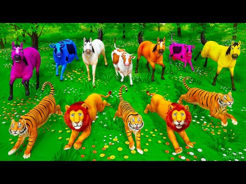 Farm vs Wild! Heroic Colorful Animals Defend Their Land | Action-Packed Adventure | Animal Rescue