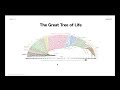 Evolutionary Relationships and Structures