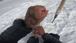 видео