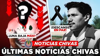 🚨¡CHICHARITO es CRITICADO por LA PRESIDENTA! ¡CANCHA del ESTADIO LISTA! 4 NOTICIAS de CHIVAS