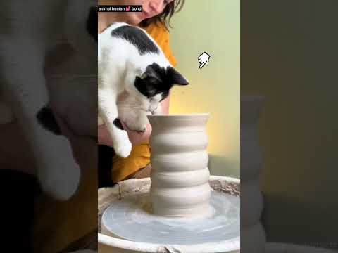 professional Potter  हर baar बर्तन 🥄 banate समय apni बिल्ली ke पंजों 🐾 का use क्यू करती थी??😮🥹