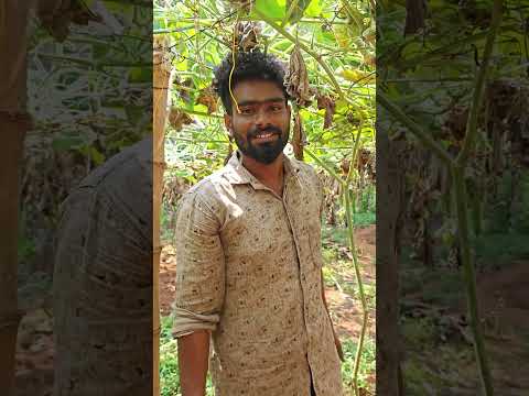 ഈ യുവ കർഷകനോട് ചെയ്തത് കൊടും ക്രൂരത !!! #shorts #viral #youtube #video #yotubeshorts #youtubeshorts