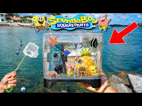 Catching SEA CREATURES For SPONGEBOB AQUARIUM!!