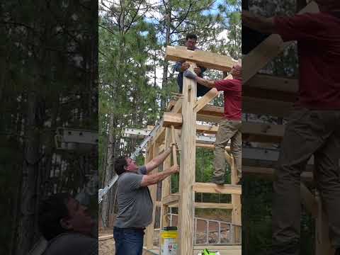 Timber Framing Kong Style