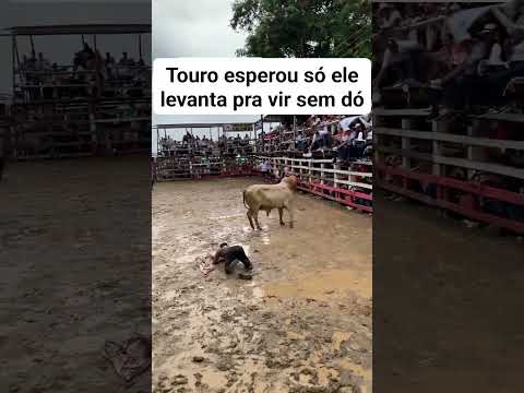 Vaqueiro vs. Touro: Sobrevivência no Barro! #vaqueiro #vaquejada #cavalo