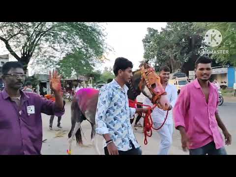 दसऱ्याच्या निमित्ताने होटेल बागायतदार यांचा सूरज ची गावात मिरवणूक #bailgaadisharyat #sharyat