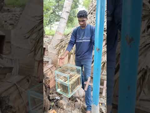 எங்களது பண்ணையின் ஒரு புதிய படைப்பு #aohoney