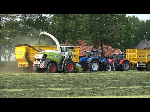 Gras hakselen door loonbedrijf Reimink met Claas Jaguar 950 en DEWA silagewagens (2025)