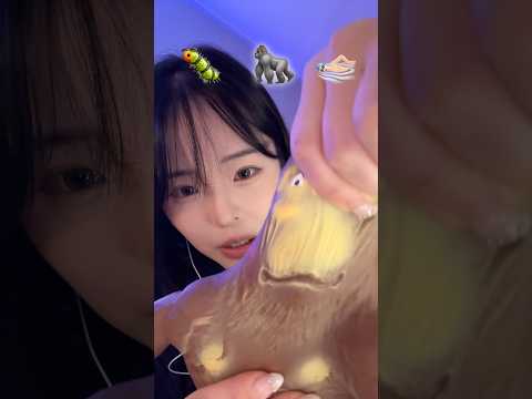 오늘 같이 잠들고 싶은 동물을 선택하세요 asmr