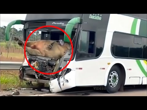 Idiots In Cars 2022 #144 STUPID DRIVERS COMPILATION! Total Idiots in Cars | TOTAL IDIOTS AT WORK