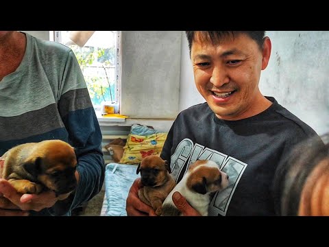 СЧАСТЬЕ У НАС РОДИЛИСЬ ВНУКИ БАБА ЛЮБА И ДЕДА САНЯ Шиндр Мындр @ShindrMindr_Official