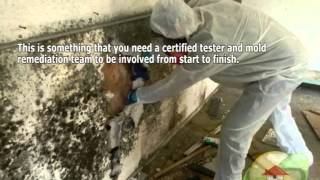 Increased Moisture Can Equal Mold