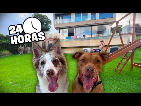 Um Dia Tranquilo Em Capitólio: Relaxando Com Os Cachorros Na Viagem!