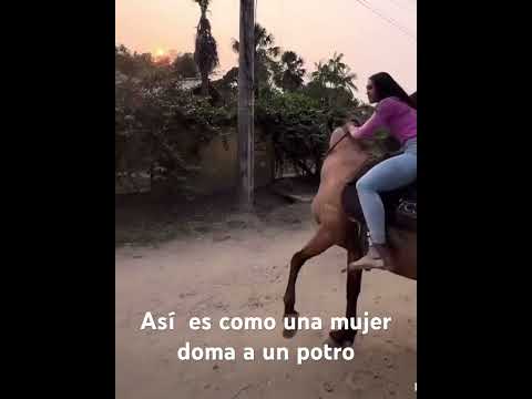 Así se monta mi gente