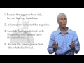 Infectious Disease Detection Techniques