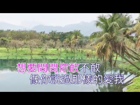 為愛痴狂(劉若英)-鋼琴伴奏歌詞 夢幻湖《Karaoke》