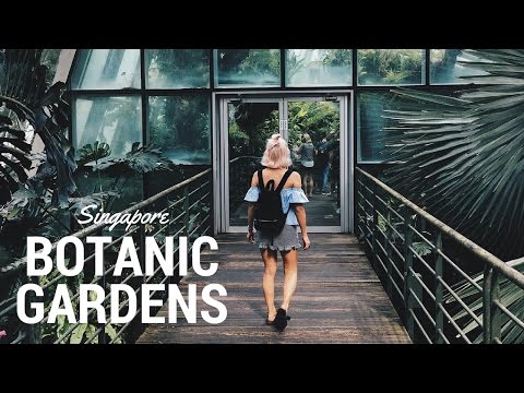 SINGAPORE BOTANIC GARDENS VLOG