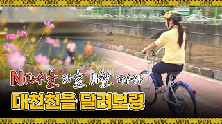 N파서블ㅣ가을 바람 따라 대천천을 달려보령~