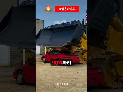 코끼리 5마리도 한 번에 밀어버린다는 괴물?