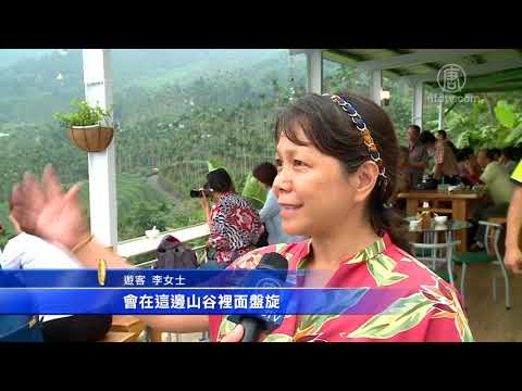 黄頭鷺南遷嘉義梅山- YouTube