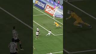 O GOLEIRO DO BOTAFOGO DEFENDEU COM A CARA? DEPOIS AINDA LEVOU SORTE...#shorts
