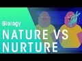Exploring the Nature vs Nurture Debate in Genetics