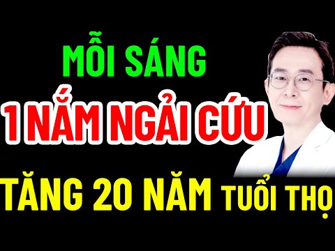 BÁC SĨ MÁCH MỖI SÁNG ĂN 1 NẮM NGẢI CỨU CÙNG THỨ NÀY BỔ HƠN SUP YẾN, RẤT KHỎE