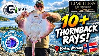 WE CAUGHT 10+ THORNBACK RAYS! | Epic Norway Shore Fishing