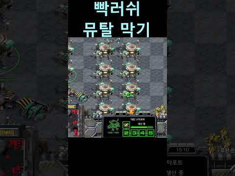 빨무 빡러쉬 뮤탈 막기#shorts