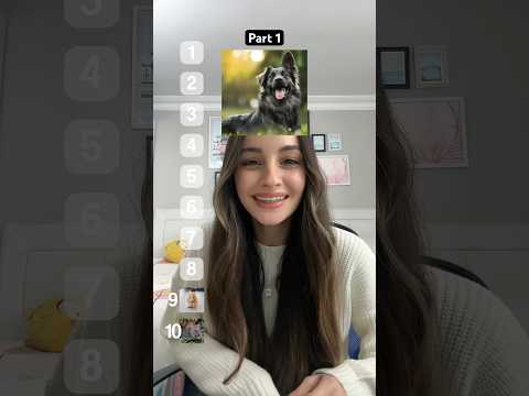 تقيم الحيوانات 🐶🐭🐠
