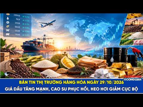 Bản tin thị trường hàng hóa ngày 29/10/2026: Giá dầu tăng mạnh, cao su phục hồi, heo hơi giảm cục bộ