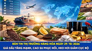 Video: Bản tin thị trường hàng hóa ngày 29/10/2026: Giá dầu tăng mạnh, cao su phục hồi, heo hơi giảm cục bộ